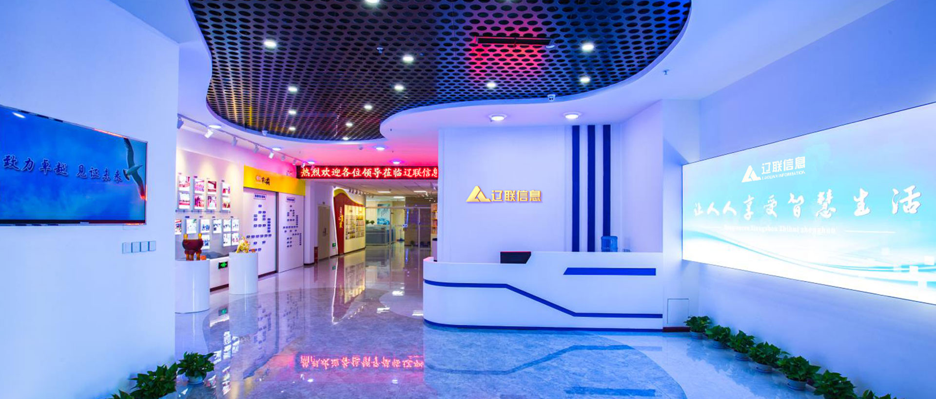 ����˹569vip����